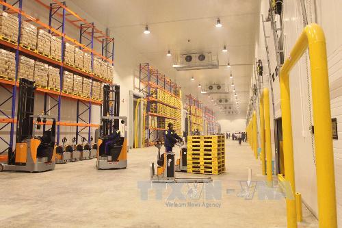 Tạo động lực cho dịch vụ logistics ảnh 1